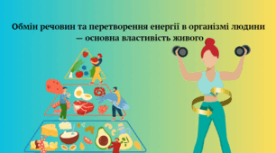 Обмін речовин та перетворення енергії в організмі людини — основна властивість живого