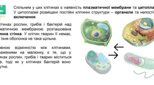 Презентація