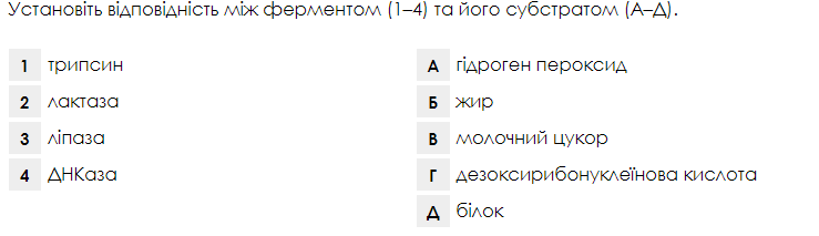 060252w6-4055-739x213.png