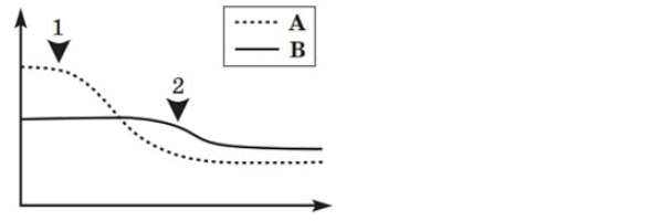 060252xg-d608-599x200.png
