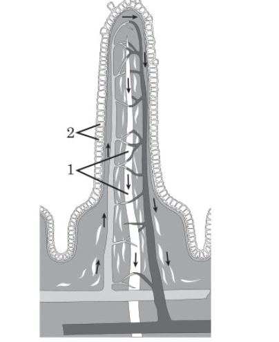 060252zd-0dcb-404x495.png