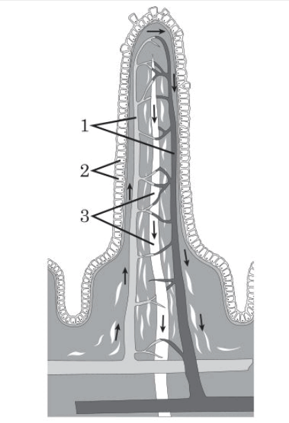 060252zu-fdd5-417x610.png