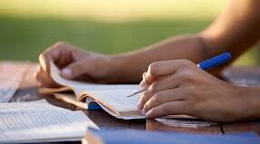 Vocabulary  and  grammar comprehension