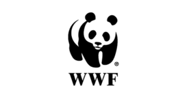 0602553z-31d1-276x145.png