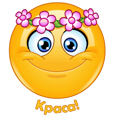 060256z8-a598-393x393.png
