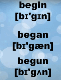 0602576r-8c94-207x274.png