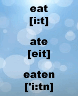 060257eg-2eef-262x323.png