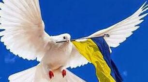   ГОЛУБ МИРУ