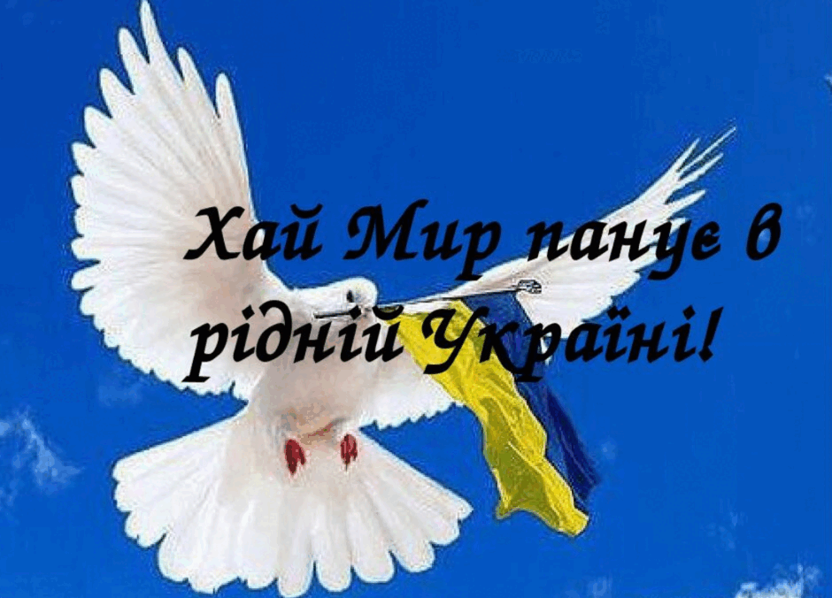 060258t0-9231-940x676.png