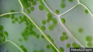 060259h9-7347-320x179.gif