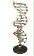06025e4r-12c9-142x235.png