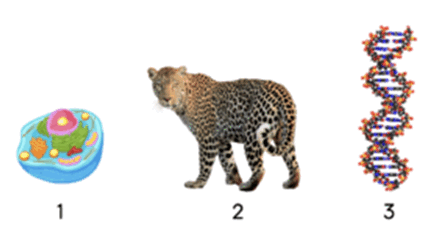 06025e7s-c138-447x241.png