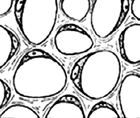 06025egk-643f-279x235.png