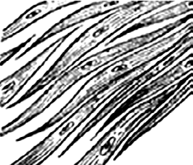 06025ego-eb6e-282x241.png