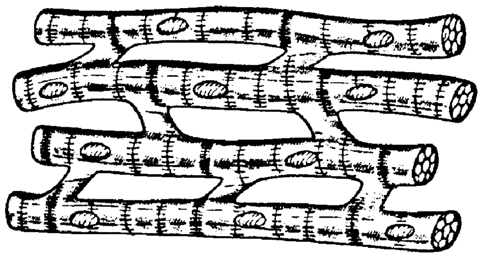 06025eka-f61e-940x503.png