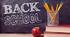 Діагностична робота №1 "Back to school" 6 form NUS (Карпюк)