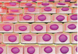 06025mn1-f069-158x111.png