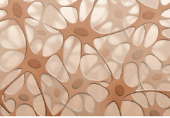 06025mnv-9236-170x118.png
