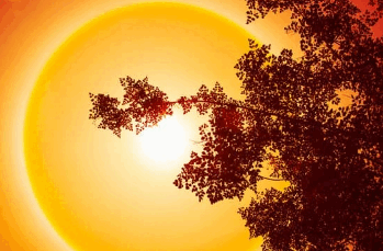 06025n0u-9723-349x229.png