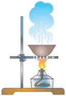 06025n2g-8663-130x190.png