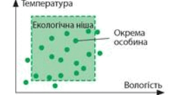 ЕКОЛОГІЧНА НІША