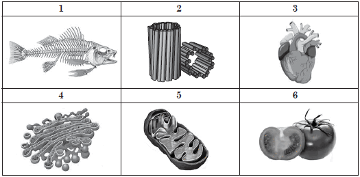 06025ra3-5c44-525x259.png