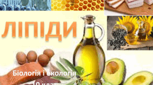 Ліпіди