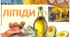 Ліпіди