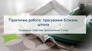 Презентація "Практична робота: прасування білизни, штанів" СПО 7 клас
