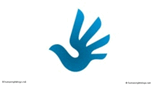 06025ydw-fd45-152x85.png