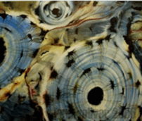 060261zd-5dde-260x221.png