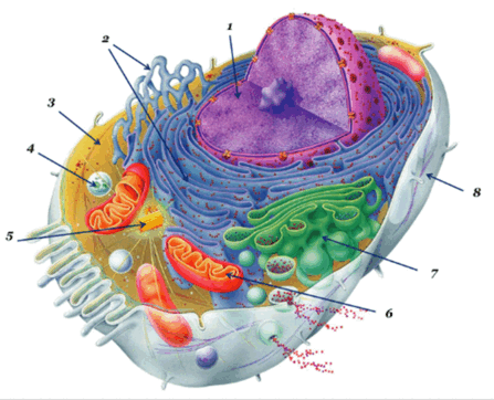 0602623f-5b55-311x252.png