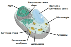 060265kw-88ac-245x162.png