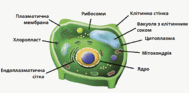 060265l2-78e4-189x93.png