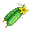 06026647-1042-111x111.png