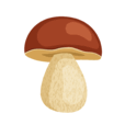 0602664d-6ae7-114x114.png