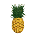 0602664w-7070-125x125.png