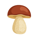 06026668-ef06-127x127.png