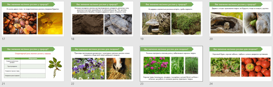 060266ke-f311-940x301.png