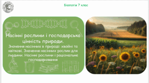 Урок на тему "Насінні рослини і господарська цінність природи.  Значення насінних в природі: хвойні та квіткові. Значення насінних рослин для людини. Насінні рослини і раціональне господарювання" (Конспект, презентація, робочі аркуші)