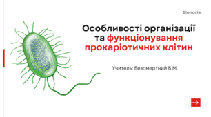 Презентація: "Особливості організації та функціонування прокаріотичних клітин" 10 клас