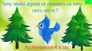 Аудіювання "Чому хвойні дерева не скидають на зиму своїх листків?"
