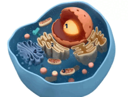 06026874-dd74-940x713.png