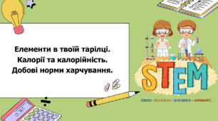 STEM 7 клас. Урок 5. Елементи в твоїй тарілці. Калорії та калорійність. Добові норми харчування.