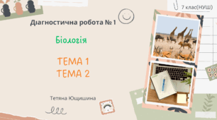 Діагностична робота №1