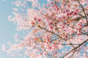 06026b7w-6689-126x84.jpg