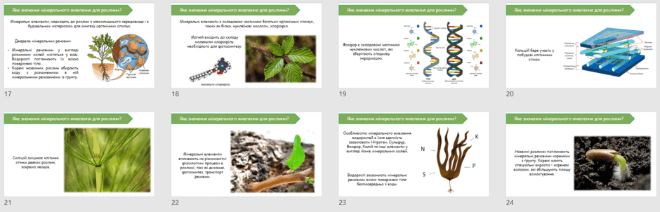 06026bez-9d50-940x302.png
