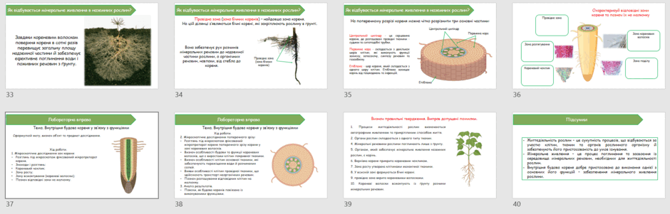 06026bf8-b7c8-940x301.png
