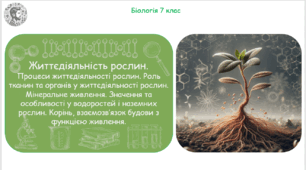 Урок на тему "Життєдіяльність рослин. Процеси життєдіяльності рослин. Роль тканин та органів у життєдіяльності рослин. Мінеральне живлення. Корінь, взаємозв’язок будови з функцією живлення" (Конспект, презентація, робочі аркуші)