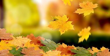 06026bqw-d07e-378x191.jpg